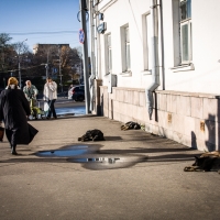 Mosca_Nov_2010-229