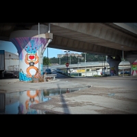 willipilone2cuorepop
